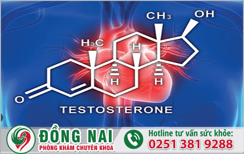 Testosterone có mối liên quan nào đến sức khỏe nam giới?