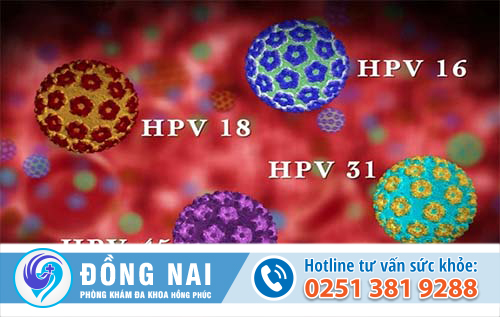 Virus hpv là bệnh gì?
